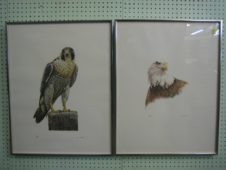 Don Cordey, a pair of limited edition coloured prints "Birds of Prey" 22" x 17"