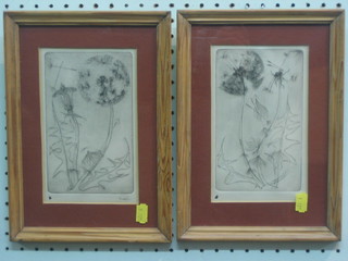 A pair of etchings "Dandelions" 7" x 4 1/2" indistinctly signed and dated '54