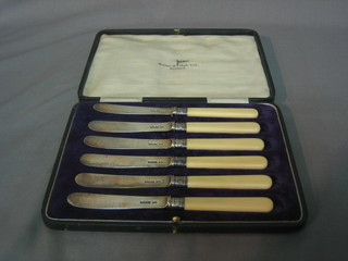 A set of 6 silver bladed tea knives Sheffield 1921, cased