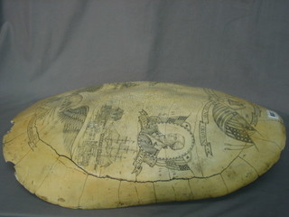 A reproduction Scrimshaw turtle shell 25"