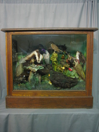 A Victorian taxidermy arrangement "The School Room" with badger school master and various birds, contained in a glazed case 21" x 28"