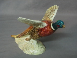 A Beswick figure of a Cock Pheasant in flight, base marked 489 10"