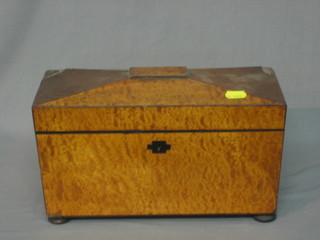 A Victorian maple twin compartment tea caddy with hinged lid, raised on 4 bun feet 12"
