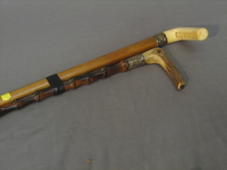 A Victorian melacca walking cane with stag horn handle and 1 other