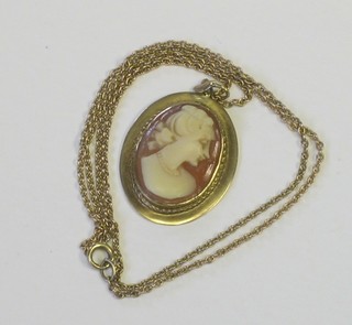 An oval shell carved cameo contained in a pendant, hung on a gilt chain
