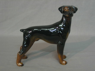 A pottery figure of a standing Doberman 7"