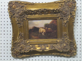 A 20th Century oil painting on board "Study of Sheep" 4" x 6" contained in a decorative gilt frame