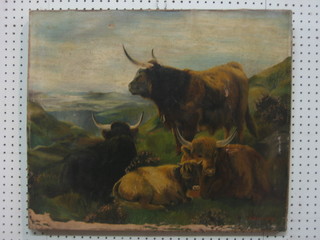 S Ball, a 20th Century oil on canvas "Study of Highland Cattle" 20"x24" (holes)