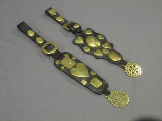 A pair of leather martingales