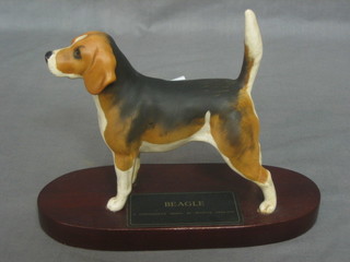 A Beswick figure of a standing Champion Beagle, raised on a wooden base 5"
