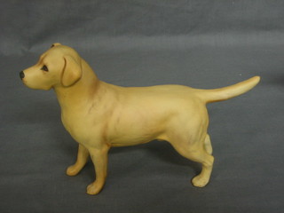 A Beswick figure of a standing yellow Labrador 6"