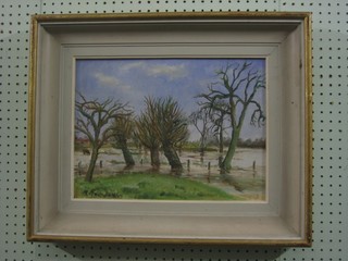 Moira Meelboom, oil on canvas "Berkshire Floods" also with Mall Gallery label 11" x 15"