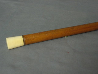 A melacca walking cane with ivory knob