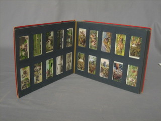 An album of various cigarette cards, a Wills cigarette card album containing various cigarette cards