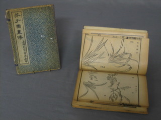 2 Oriental books with ivory pegs