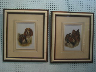 A pair of enhanced prints "Portraits of Dogs" 9 1/2" x 6 1/2"