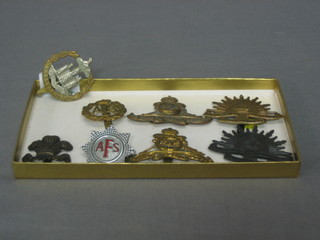 8 various cap badges including Denbighshire Yeomanry, Dorset Regt., ATS, Auxiliary Fire Service, Royal Artillery and Australian Commonwealth Forces