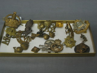 A collection of various shoulder titles, collar dogs etc