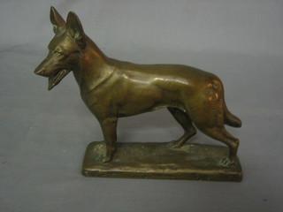 A bronze figure of a standing Alsatian on a naturalistic base, base marked Mrs B J Newbold, Dingle, Crawley, West Sussex 7"