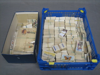 A green plastic tray containing a large collection of cigarette cards and a blue shoe box containing a large collection of cigarette cards