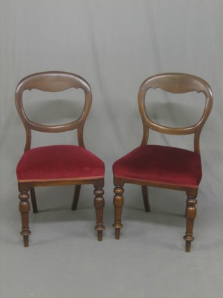 A set of 6 Victorian mahogany balloon back dining chairs with upholstered seats, raised on turned supports