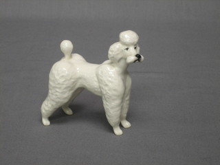A Beswick figure of a standing white Poodle 3 1/2"