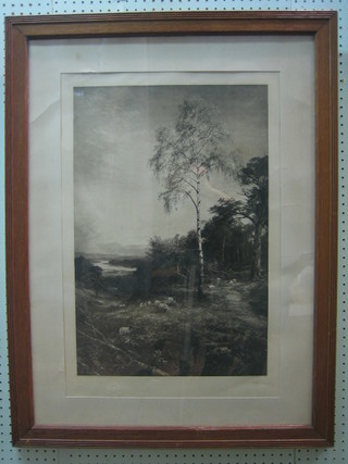 After John MacWhinter, a print "The Birch, Rowan and Pine and The Grampian Hills" 24" x 16"