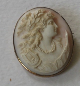 A 19th Century shell carved cameo portrait brooch of a lady