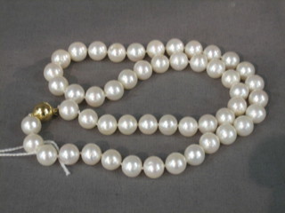 A rope of 50 freshwater cultured pearls, average diamond 9.5mm with 9ct gold clasp 