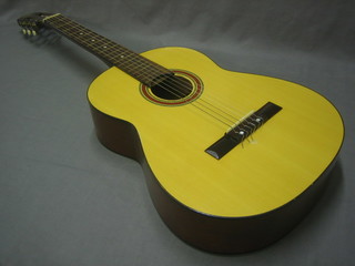 A guitar, labelled model number KC33