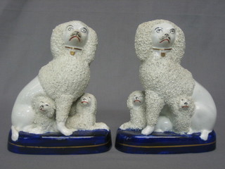 A pair of 19th Century Staffordshire figures of seated Poodles 7"
