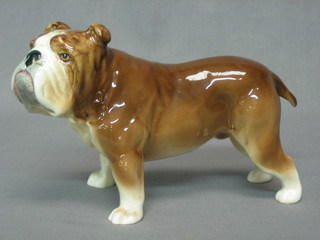A Sylvac figure of a standing Bull Dog, the base marked Sylvac 8"