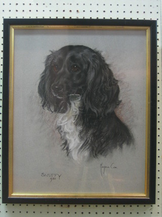 M Cox, pastel head and shoulders portrait of a seated dog "Snuffy" 1980 17" x 14"