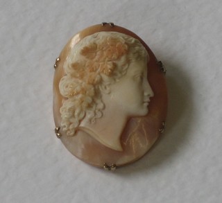An oval shell carved cameo portrait brooch contained in a gilt metal mount