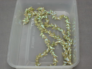 A string of shell beads