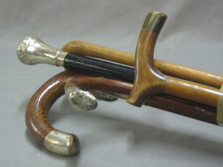 A walking stick with silver band marked Arthur H Ward  Tasmanian Gift from Sir John Kirk 1912, together  with an ebony walking stick with silver band and 3 other sticks