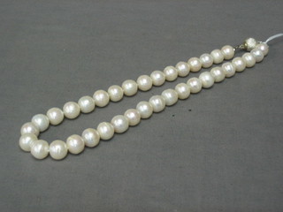 A rope of large freshwater pearls