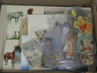 A box of various ephemera including Greetings cards etc
