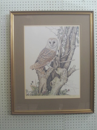 Steven Grayford, a coloured print "Study of a Barn Owl" 18" x 15"