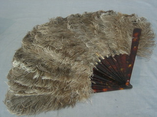 An ostrich feather fan with "tortoiseshell" sticks