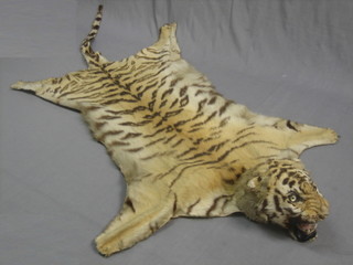 A Tiger skin complete with head