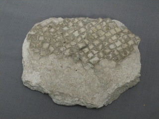 A section of stone removed from Pompeii 6" x 5"