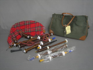 A modern set of bagpipes contained in a fibre carrying case