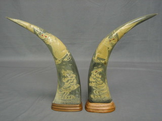 A pair of Eastern horns with carved tiger decoration  16"