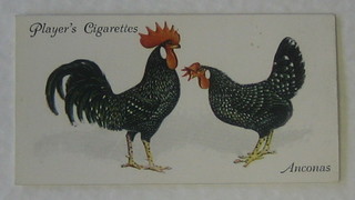 Player's Cigarette cards set 1-50 - Poultry and ditto - set 1-50 - Curious Beaks