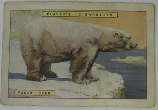 Player's Cigarette cards set 1-12 - Natural History, ditto set 1-25 - Zoo Babies, United Tobacco set 1-100 - Our South African National Parks and Godfrey Phillips four sets of 1-30 (plus extras) - Animal Studies (all large cards)