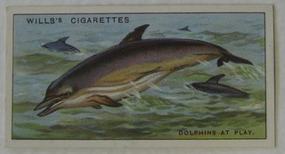 Wills's Cigarette cards set 1-50 - Wonders of The Sea and ditto set 1-50 - Fish & Bait