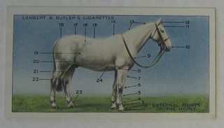 Lambert & Butler Cigarette cards set 1-50 - Horsemanship