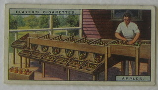 Player's Cigarette cards set 1-50 - Products of The World, do. set 1-25 - Products of The World, do. set 1-25 - From Plantation to Smoker and do. set 1-50 - National Flags and Arms