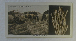 Wills's Cigarette cards set 1 -50 - Irish Industries, do set 1-50 - Engineering Wonders and do. 40 out of a set of 50 - Wonders of The Past